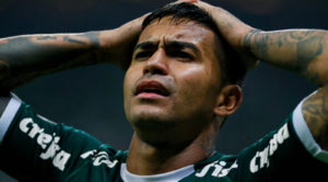 Dudu Palmeiras