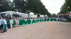 mancha palmeiras