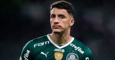 Mística se antecipa e crava destino do Palmeiras no Paulistão - Portal do  Palmeirense