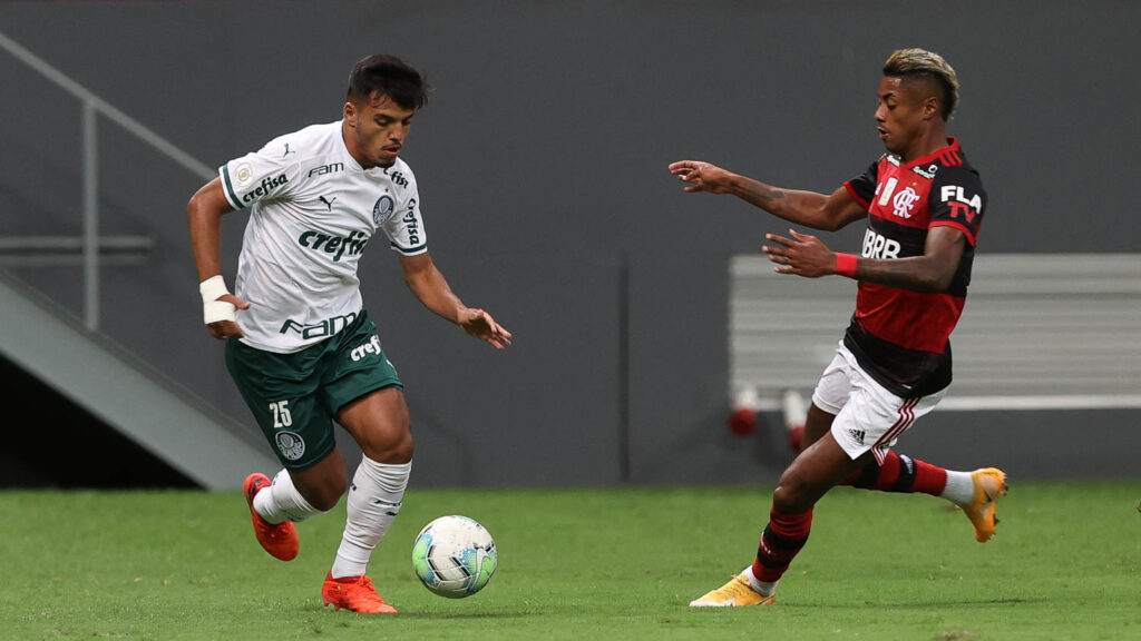 Palmeiras e Flamengo