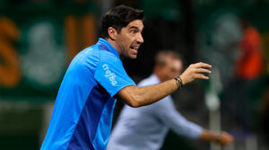 Abel Palmeiras