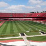 Palmeiras