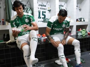 Palmeiras