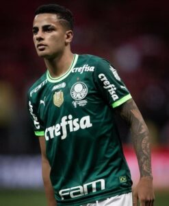 Palmeiras