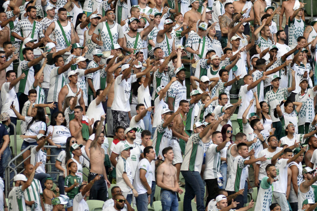 Palmeiras Mancha