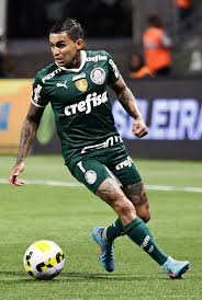 Palmeiras 