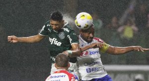 palmeiras fortaleza