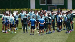 Palmeiras