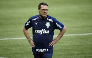 Vanderlei Luxemburgo no comando do Palmeiras (Foto: Cesar Greco / Palmeiras)