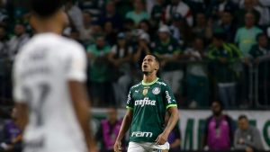murilo palmeiras