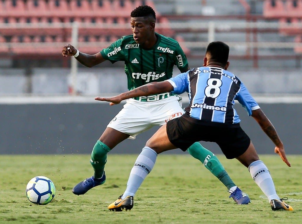 vitão palmeiras