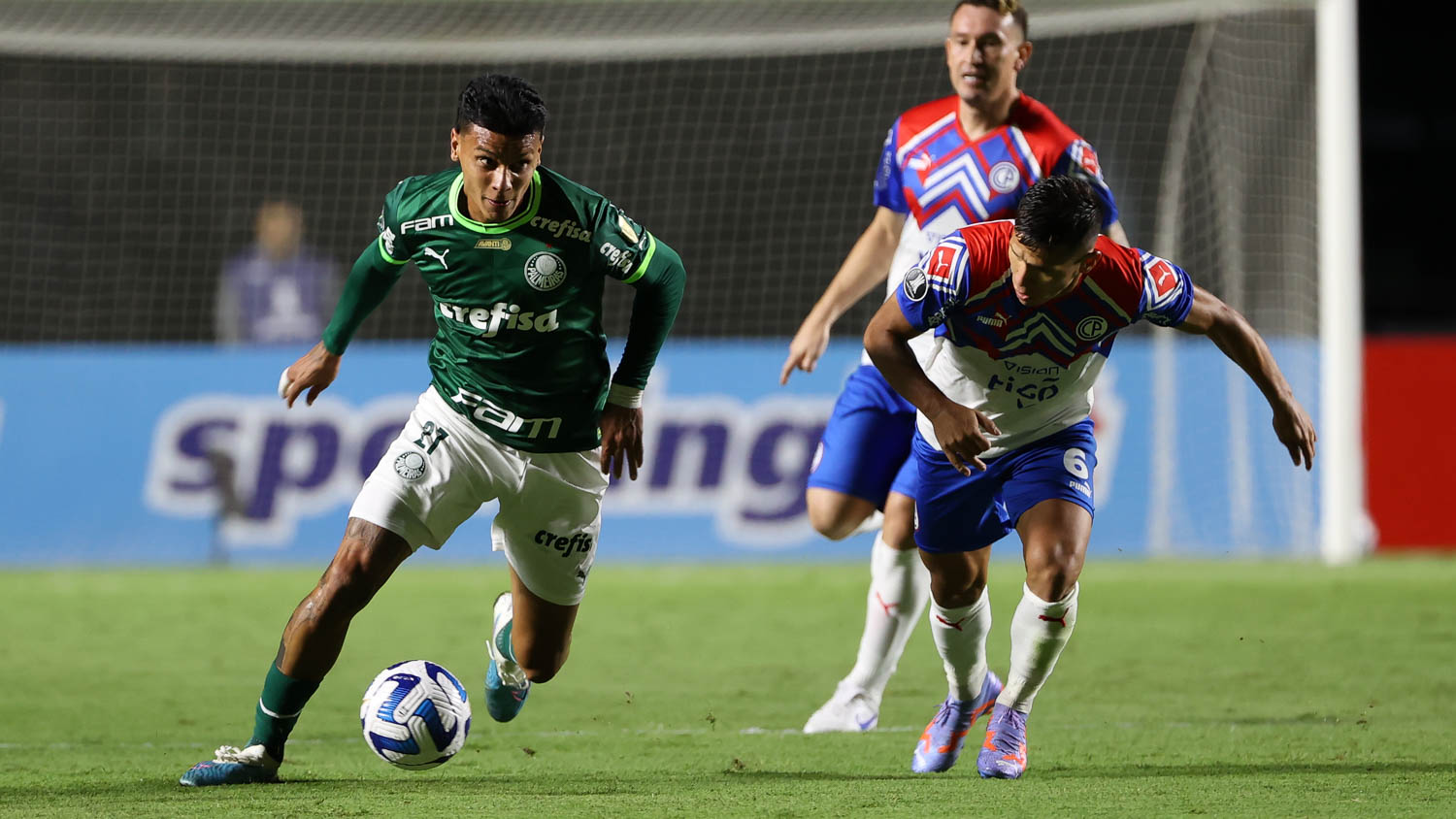 Palmeiras x Cerro Porteño: Onde assistir AO VIVO nesta quarta-feira (09 ...