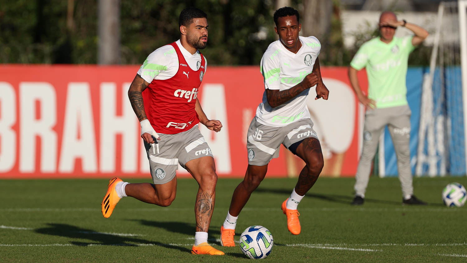 Jogadores do atual elenco caminham para serem os maiores vencedores da  História do Palmeiras