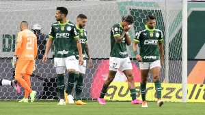 Palmeiras x Botafogo (Foto: Marcos Ribolli)