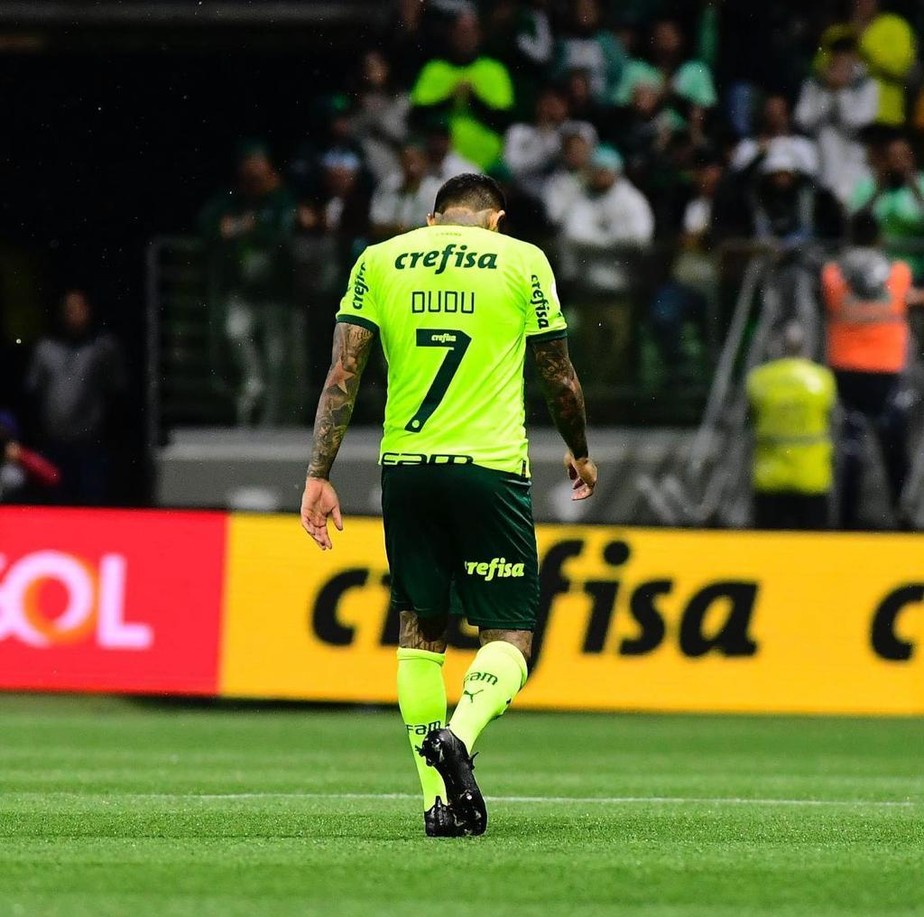 Vidente crava resultado entre Deportivo Pereira x Palmeiras pela  Libertadores - NossoPalmeiras