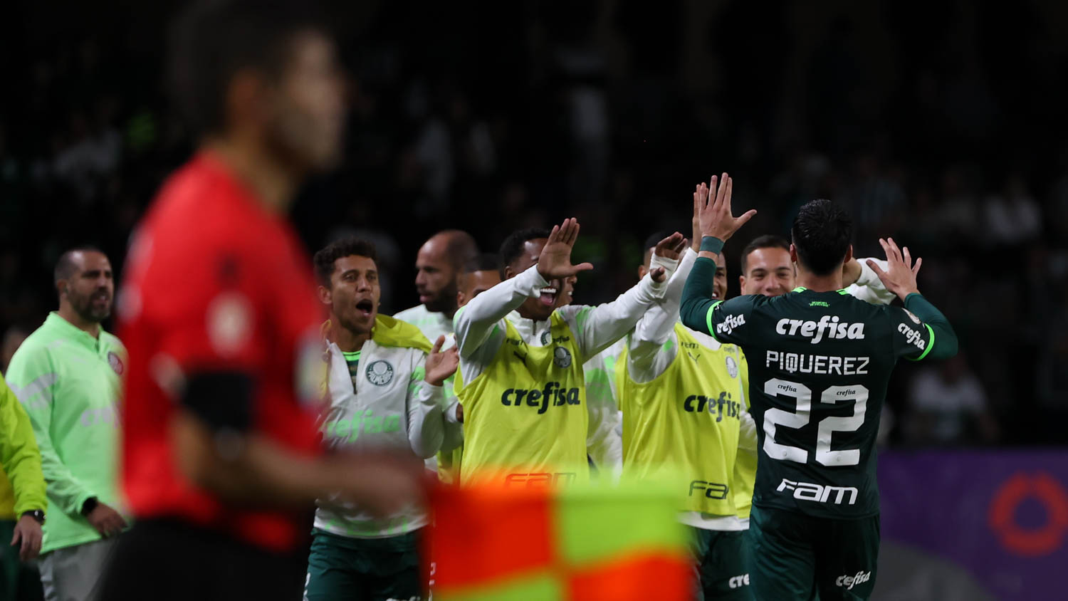Vidente diz quem vence o jogo Botafogo x Palmeiras