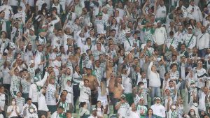 Foto: Divulgação/Palmeiras