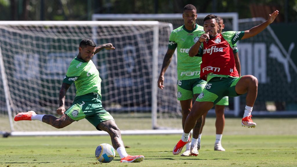 Elenco do Palmeiras