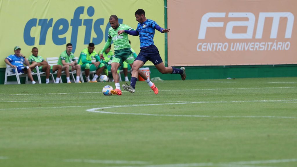 Treino do Palmeiras