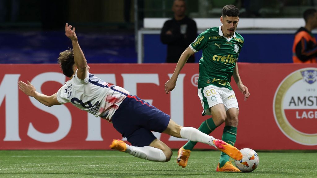 Rômulo, do Palmeiras. Foto: Cesar Greco