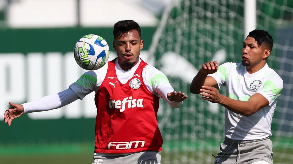 Menino e Rony. Foto: Cesar Greco/Palmeiras