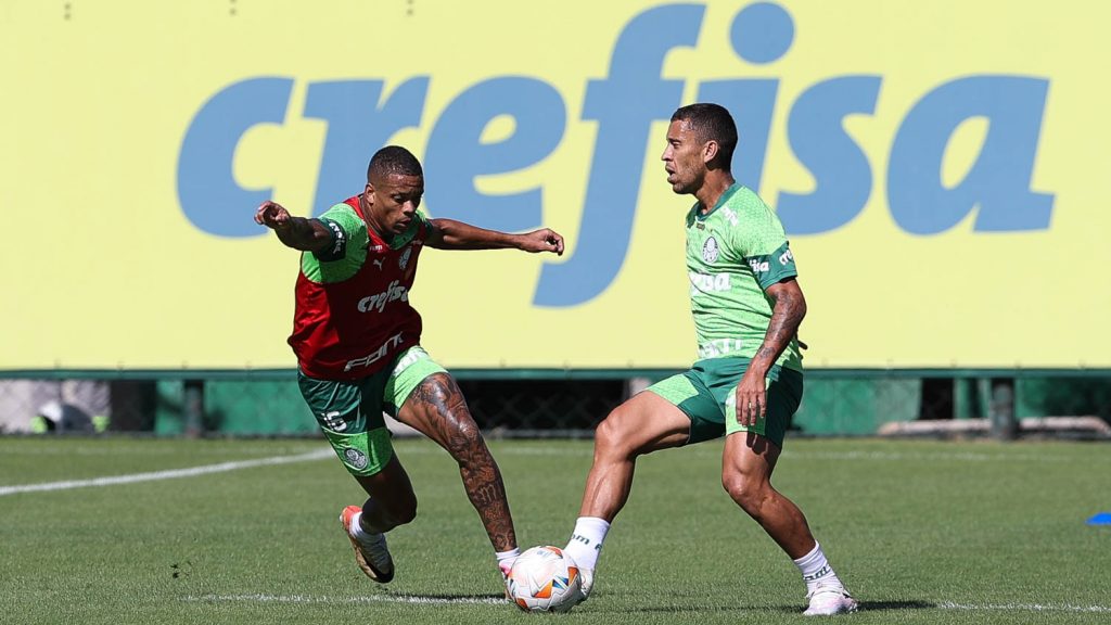 Foto: Cesar Greco/Palmeiras