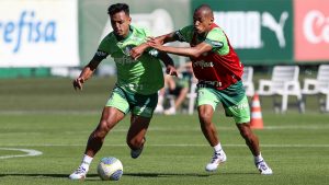 Foto: Cesar Greco/Ag. Palmeiras