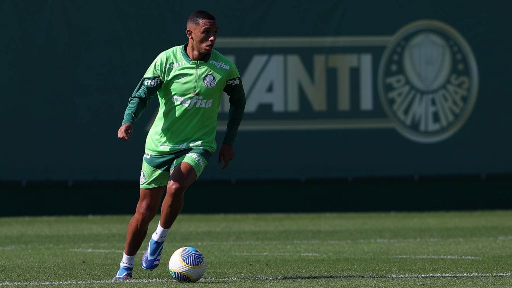 Michel. Foto: Cesar Greco/Palmeiras