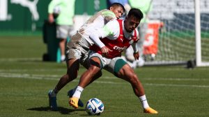 Antes de jogo contra o Botafogo, Palmeiras encaminha saída de dupla ‘badalada’