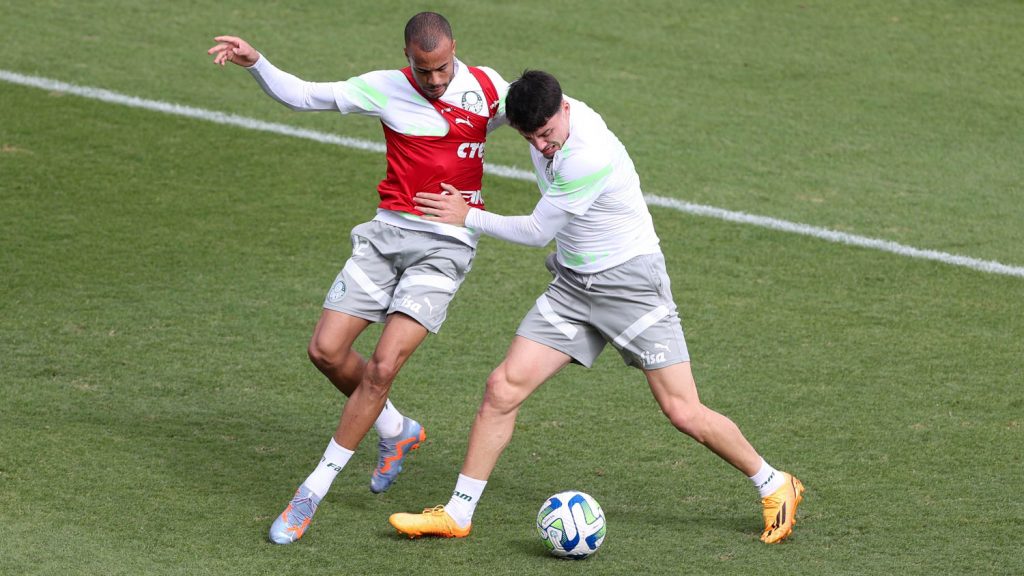 Foto: Cesar Greco/Palmeiras