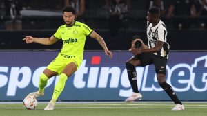 Palmeiras x Botafogo. Foto: Cesar Greco/Palmeiras