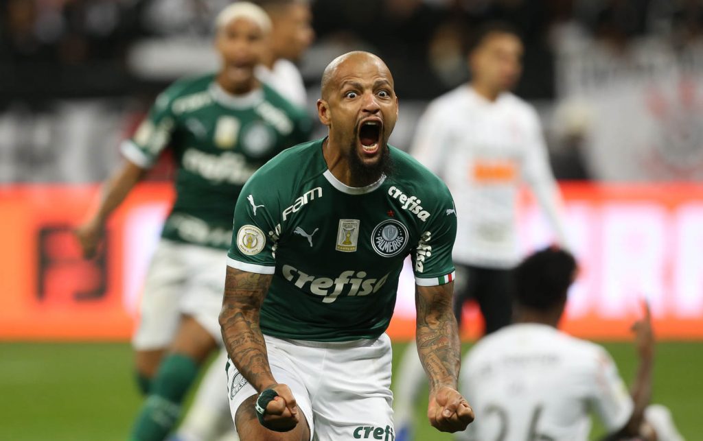 Felipe Melo. Foto: Cesar Greco/Palmeiras