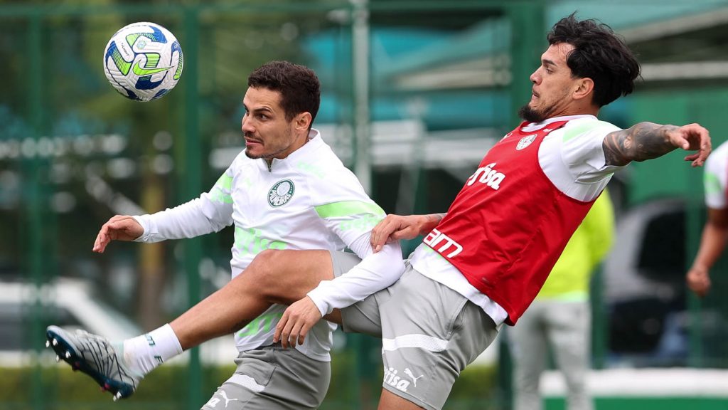 Botafogo é exaltado por Sormani. Raphael Veiga e Gustavo Gómez. Foto: Cesar Greco