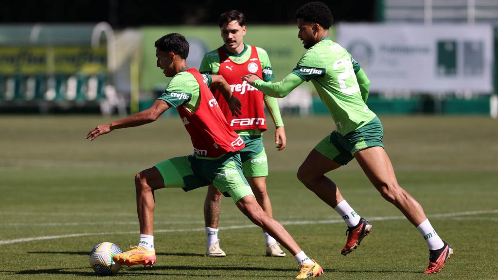 Elenco do Palmeiras pode ganhar pacotão de reforços. 