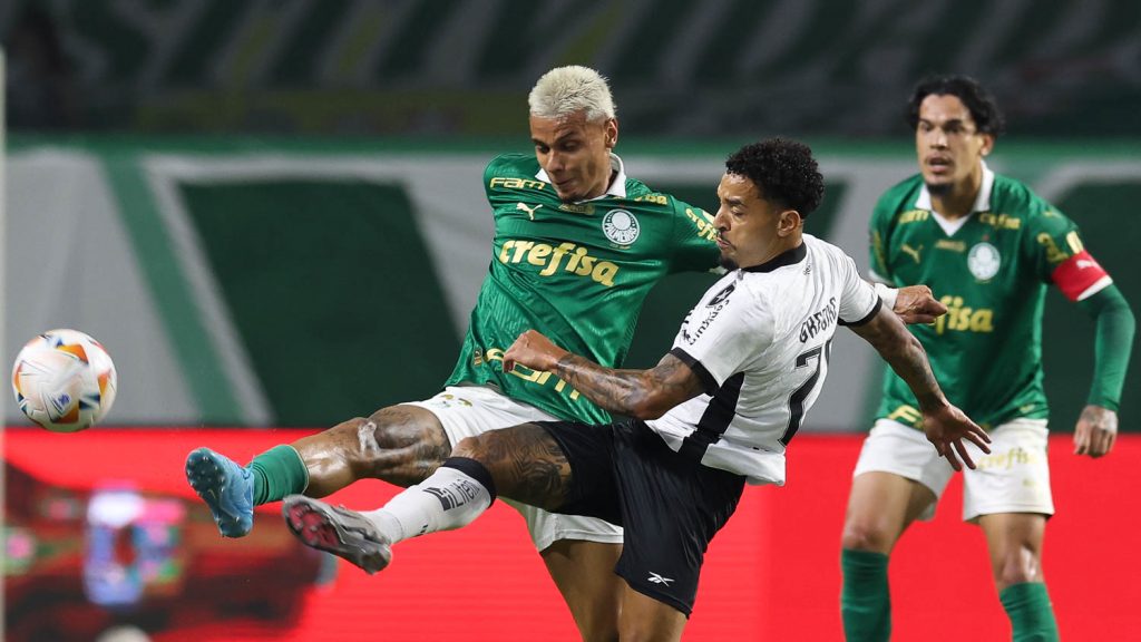 Palmeiras x Botafogo. Foto: Cesar Greco