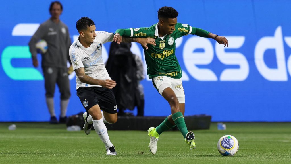 Palmeiras x Grêmio. Foto: Cesar Greco/Palmeiras