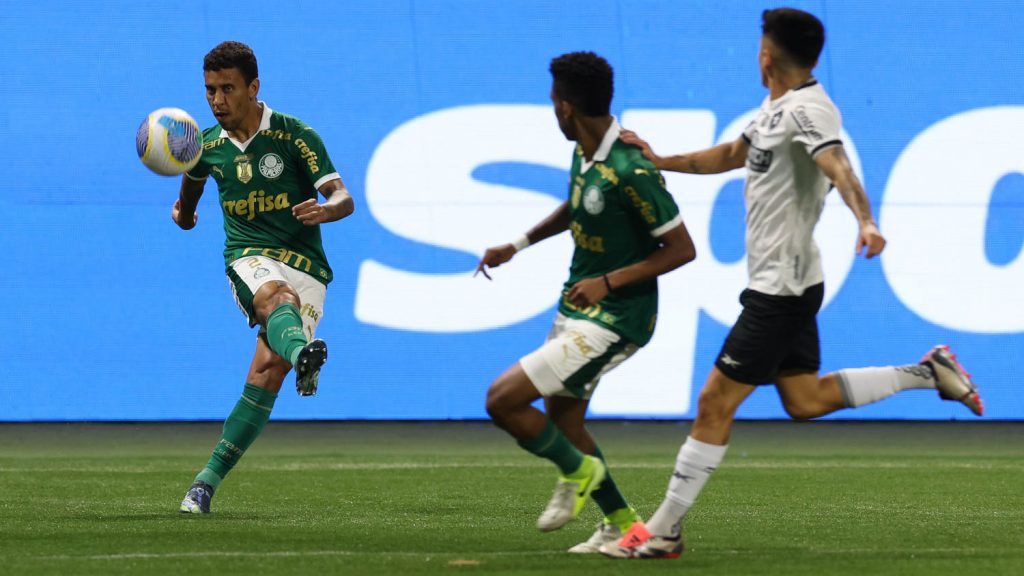 Palmeiras x Botafogo. Foto: Cesar Greco/Palmeiras