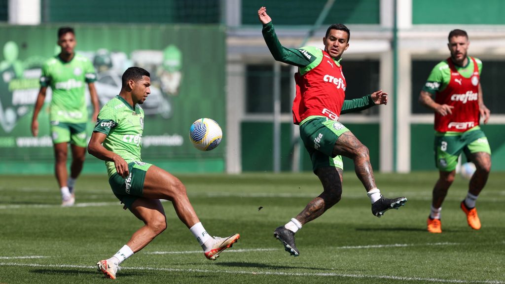 Multicampeão do Palmeiras. Foto: Cesar Greco/Palmeiras