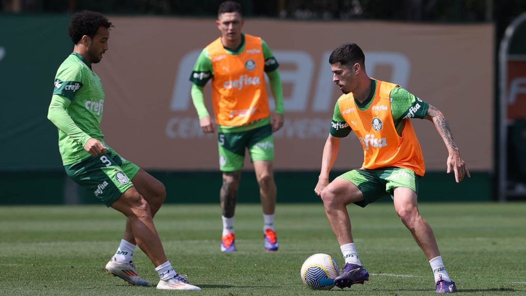 Elenco alviverde. Foto: Cesar Greco/Palmeiras