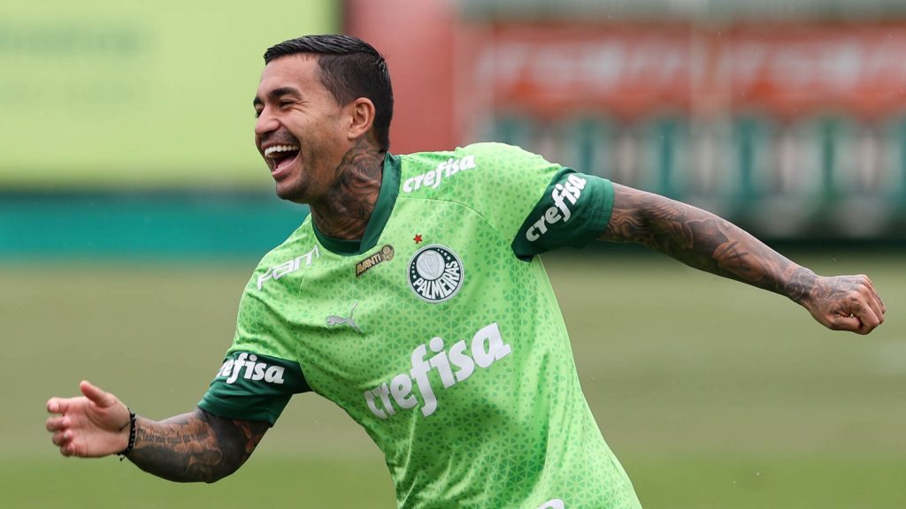 Dudu. Foto: Cesar Greco/Palmeiras