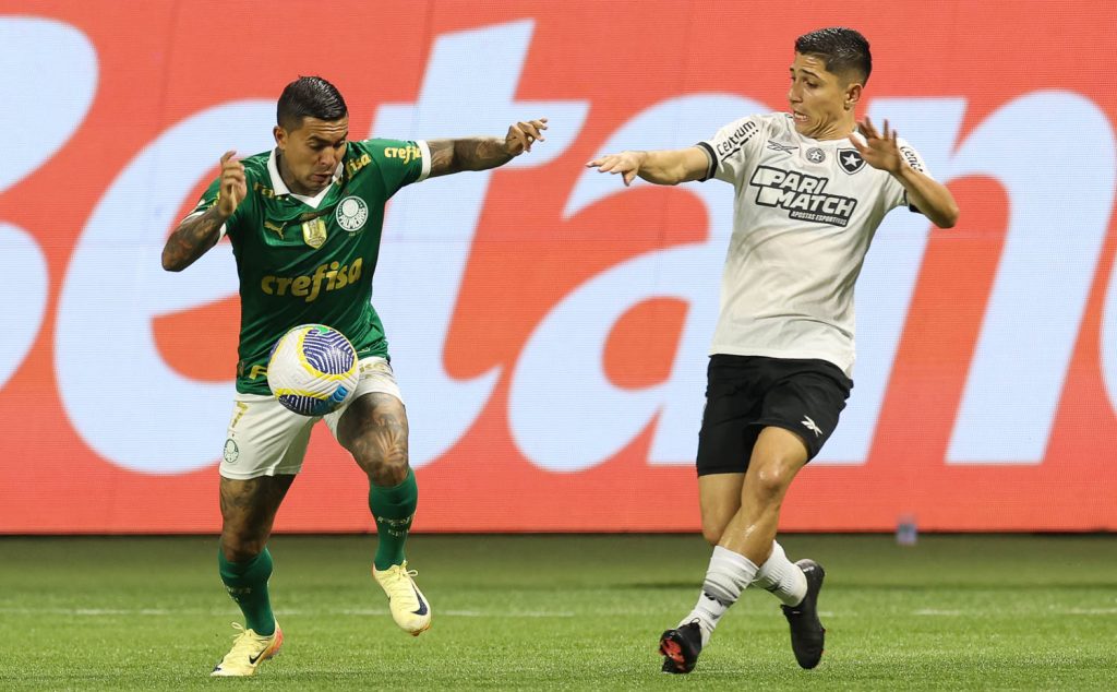 Dudu. Foto: Cesar Greco/Palmeiras