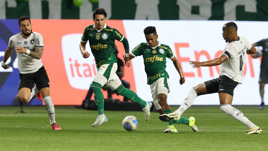 Palmeiras x Botafogo. Foto: Cesar Greco