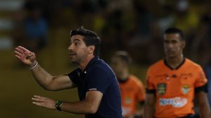 Abel. Foto: Cesar Greco/Palmeiras