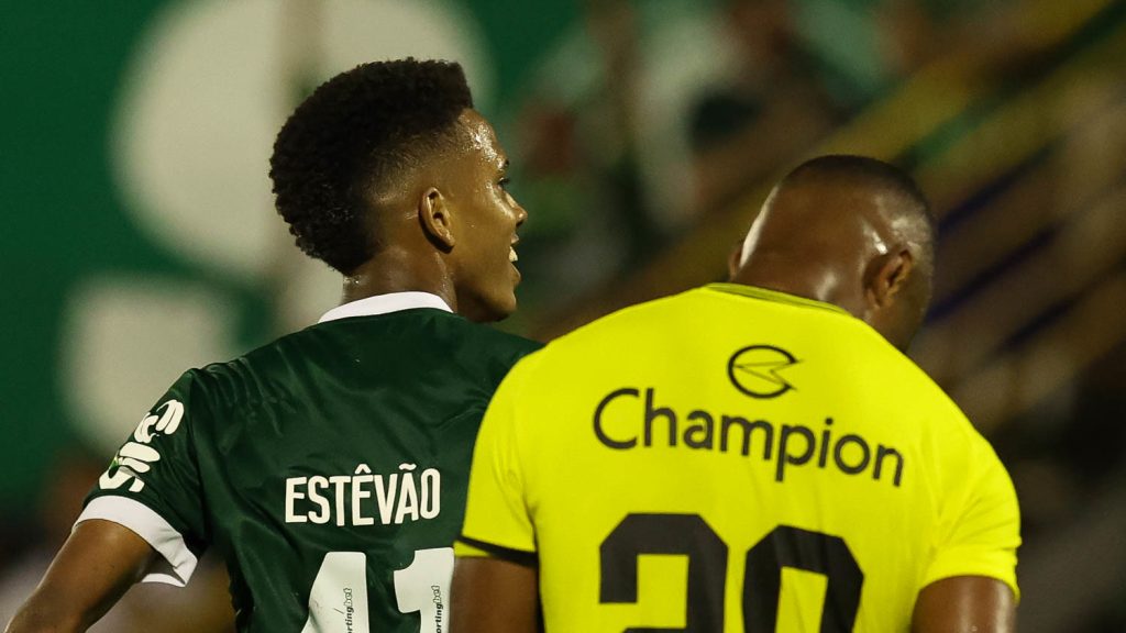 Estêvão. Foto: Cesar Greco/Palmeiras