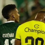Estêvão. Foto: Cesar Greco/Palmeiras