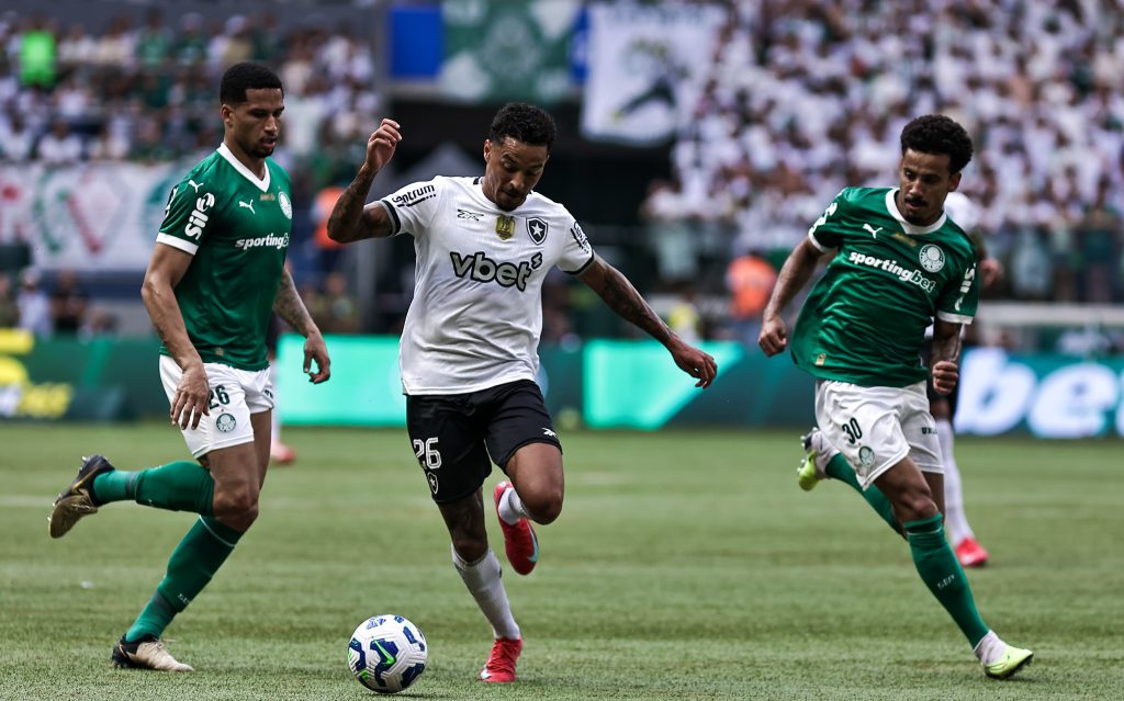 Palmeiras x Botafogo. Foto: Fabio Giannelli/AGIF