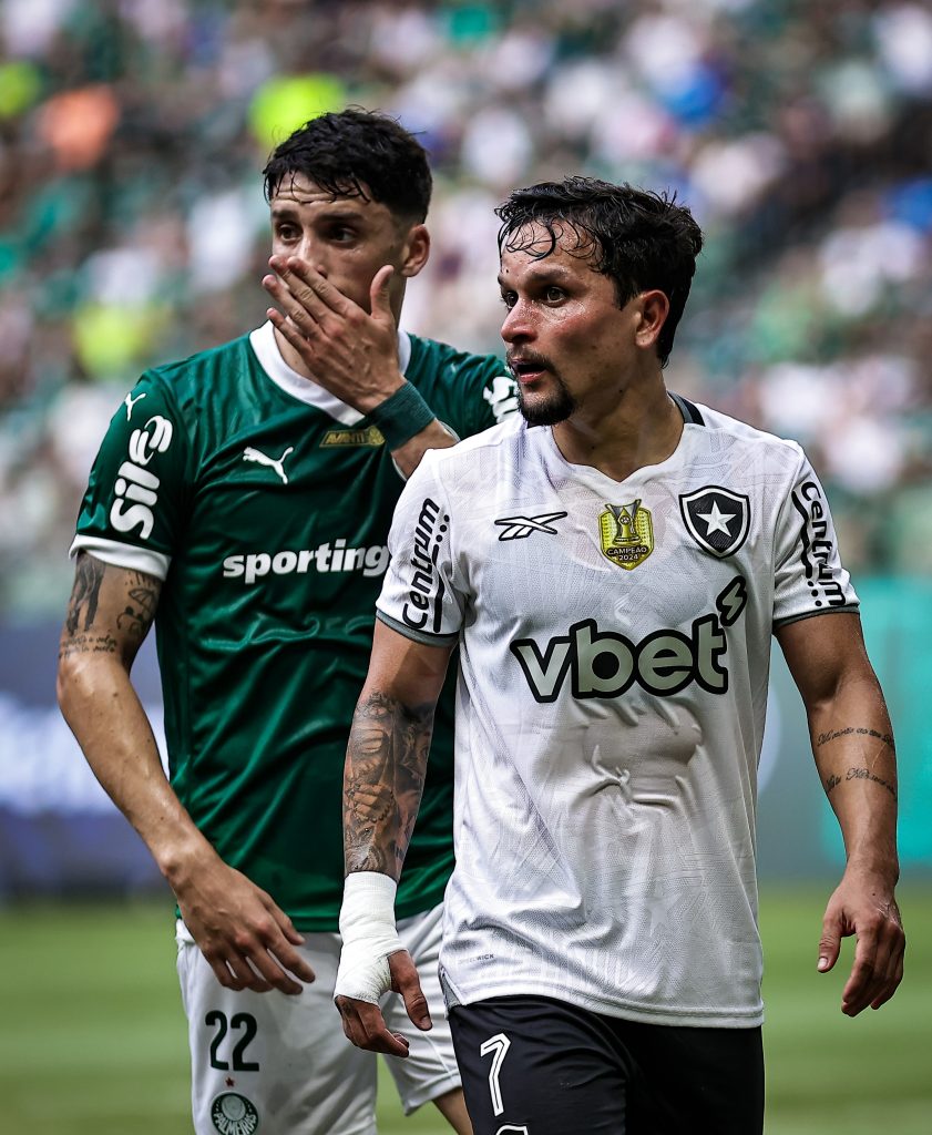 Palmeiras x Botafogo. Foto: Fabio Giannelli/AGIF