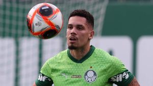 Paulinho. Foto: Cesar Greco/Palmeiras