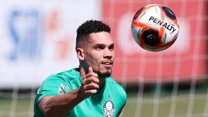 Paulinho. Foto: Cesar Greco/Palmeiras