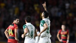 Sport x Palmeiras. Foto: Cesar Greco/Palmeiras